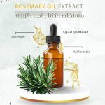 Rosemary Oil Extract - مستخلص اكليل الجبل الزيتي